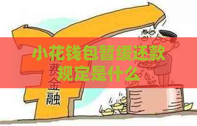 小花钱包暂缓还款规定是什么