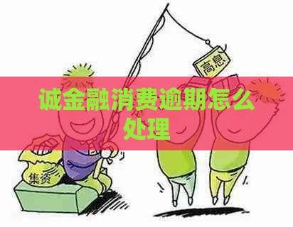 诚金融消费逾期怎么处理