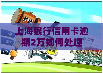 上海银行信用卡逾期2万如何处理