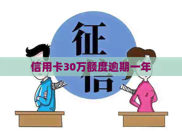 信用卡30万额度逾期一年