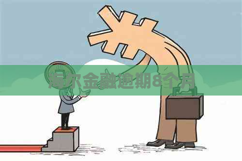 海尔金融逾期8个月