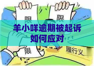 羊小咩逾期被起诉如何应对