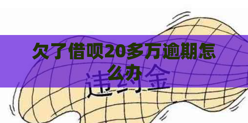 欠了借呗20多万逾期怎么办