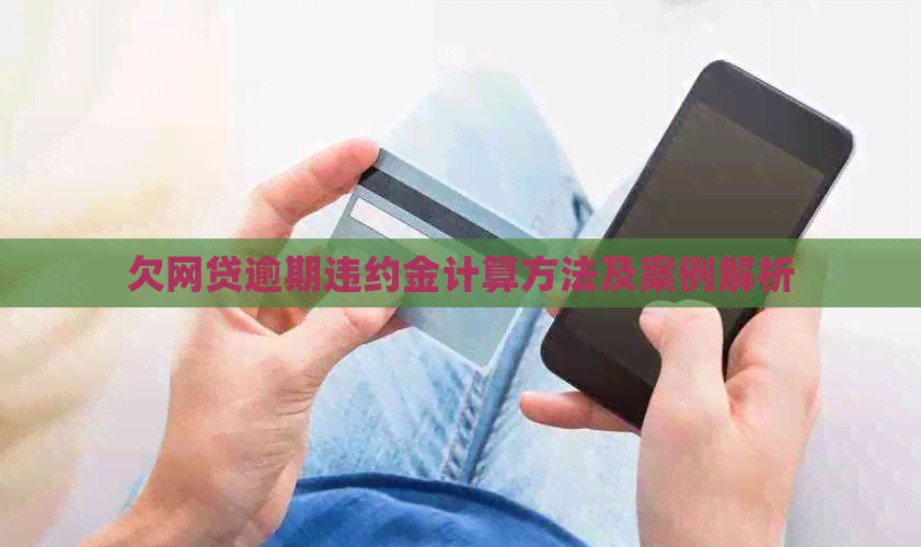 欠网贷逾期违约金计算方法及案例解析