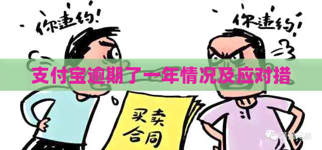 支付宝逾期了一年情况及应对措