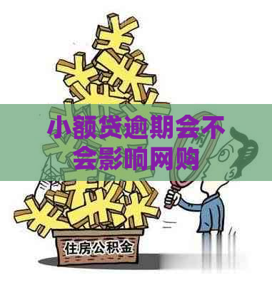 小额贷逾期会不会影响网购