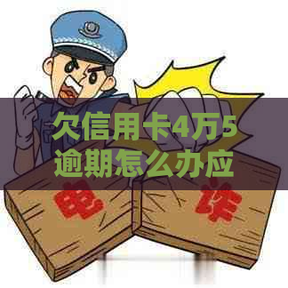 欠信用卡4万5逾期怎么办应该怎样解决