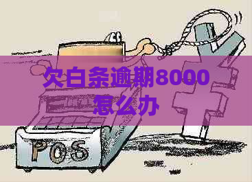 欠白条逾期8000怎么办