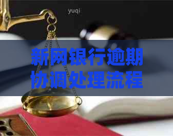 新网银行逾期协调处理流程