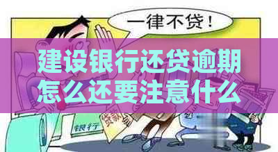 建设银行还贷逾期怎么还要注意什么