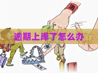 逾期上岸了怎么办