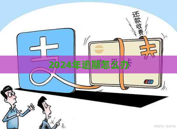 2024年逾期怎么办