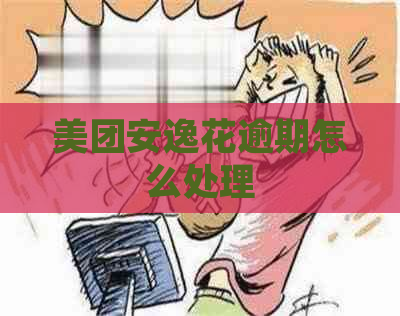 美团安逸花逾期怎么处理