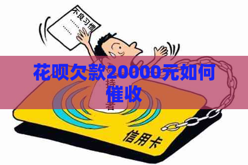 花呗欠款20000元如何