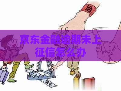 京东金融逾期未上怎么办