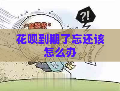 花呗到期了忘还该怎么办