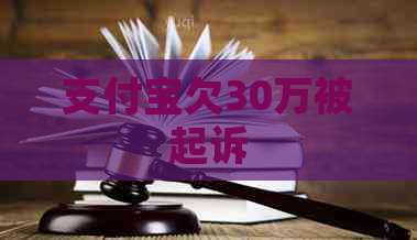 支付宝欠30万被起诉