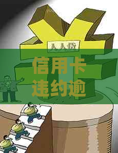 信用卡违约逾期后果及如何处理