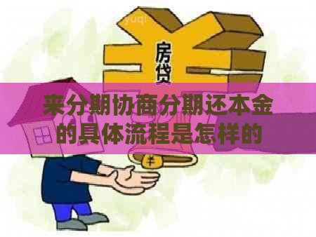 来分期协商分期还本金的具体流程是怎样的