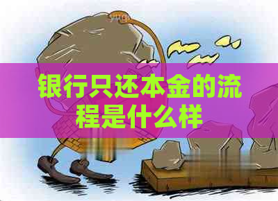 银行只还本金的流程是什么样