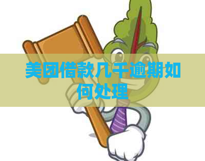 美团借款几千逾期如何处理