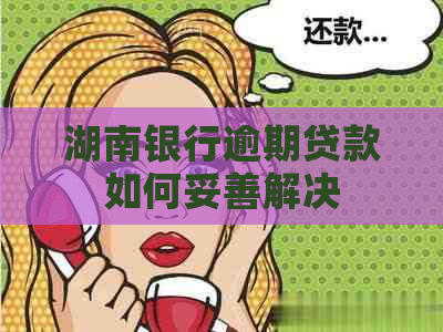 湖南银行逾期贷款如何妥善解决