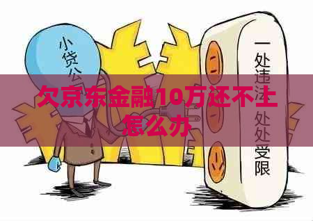 欠京东金融10万还不上怎么办