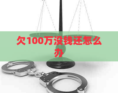 欠100万没钱还怎么办