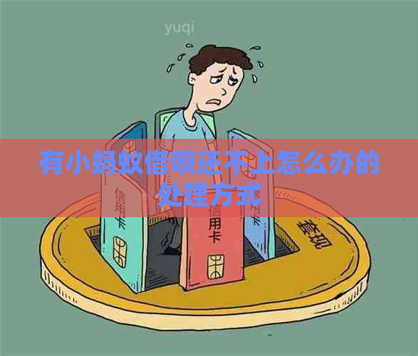 有小蚂蚁借呗还不上怎么办的处理方式