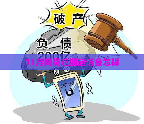 11月网贷逾期起诉会怎样