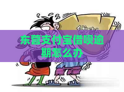 东营支付宝借呗逾期怎么办