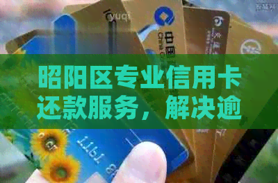 昭阳区专业信用卡还款服务，解决逾期难题，提升信用评分