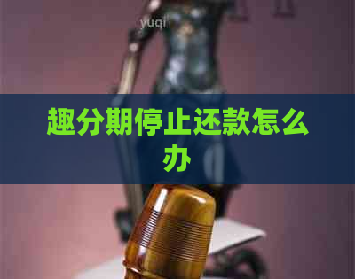 趣分期停止还款怎么办