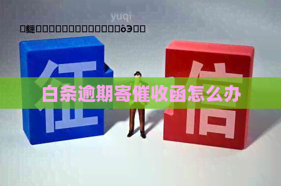 白条逾期寄函怎么办