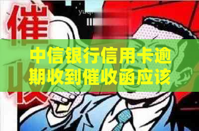 中信银行信用卡逾期收到函应该怎么办