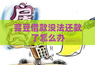 芸豆借款没法还款了怎么办