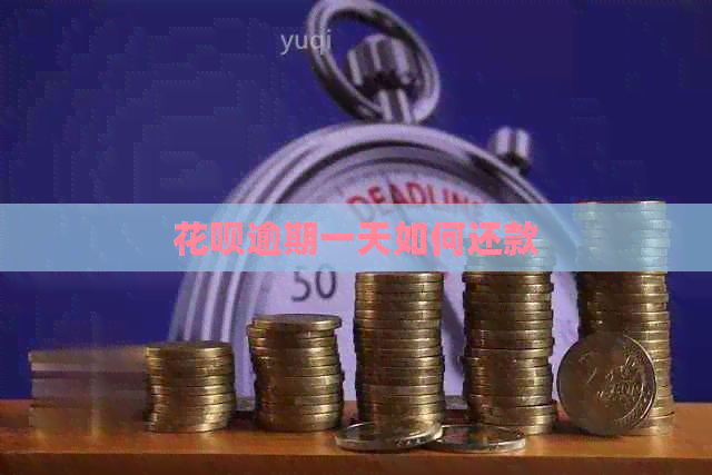 花呗逾期一天如何还款