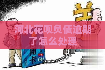 河北花呗负债逾期了怎么处理