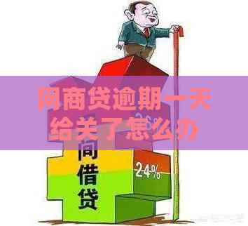 网商贷逾期一天给关了怎么办