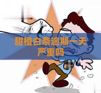 甜橙白条逾期一天严重吗