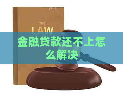 金融贷款还不上怎么解决