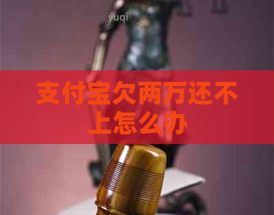 支付宝欠两万还不上怎么办