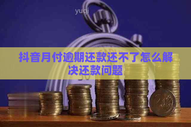 抖音月付逾期还款还不了怎么解决还款问题