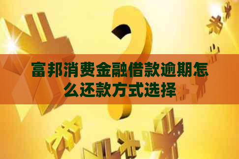 富邦消费金融借款逾期怎么还款方式选择