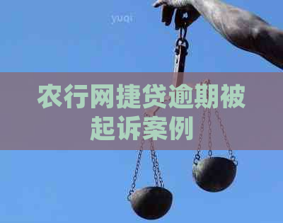 农行网捷贷逾期被起诉案例