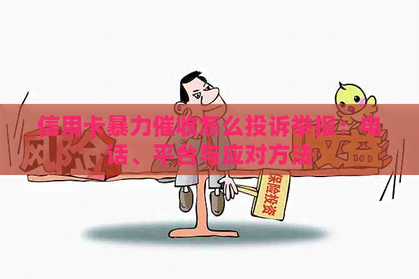 信用卡怎么投诉举报：电话、平台与应对方法