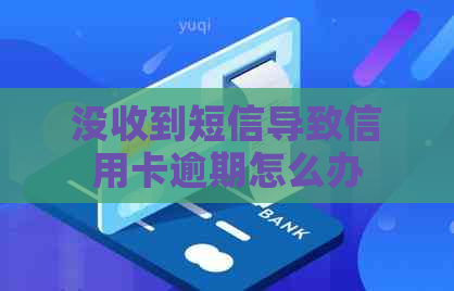 没收到短信导致信用卡逾期怎么办