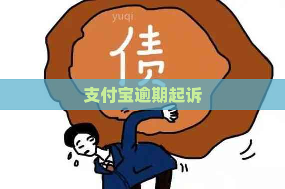 支付宝逾期起诉