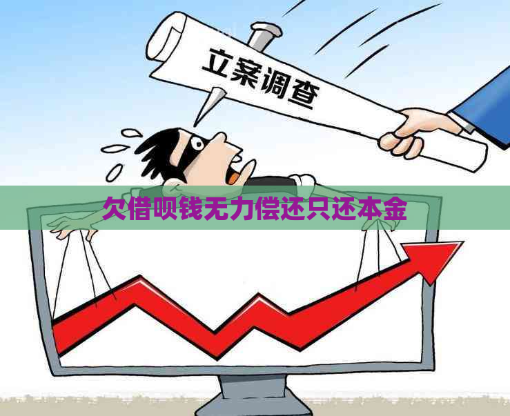 欠借呗钱无力偿还只还本金