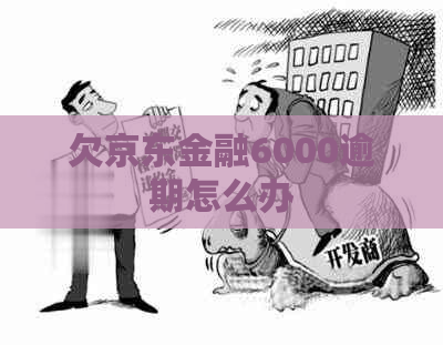 欠京东金融6000逾期怎么办